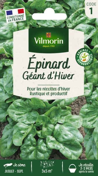 Potagères - Epinard Géant d'Hiver - PACKAGING_RECTO